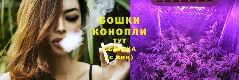 Каннабис White Widow  Кувшиново 